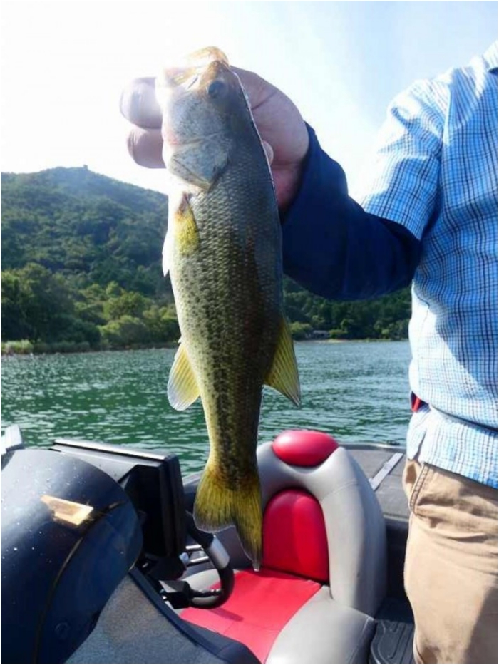 truth ブログ写真 2018/08/18