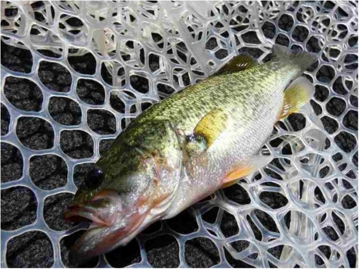 truth ブログ写真 2018/08/18