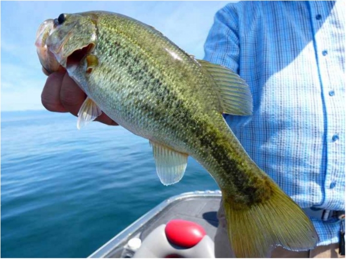 truth ブログ写真 2018/08/18