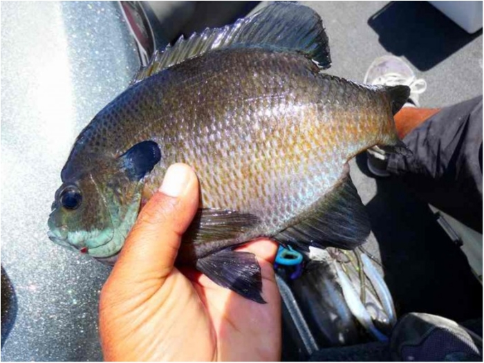 truth ブログ写真 2018/08/18