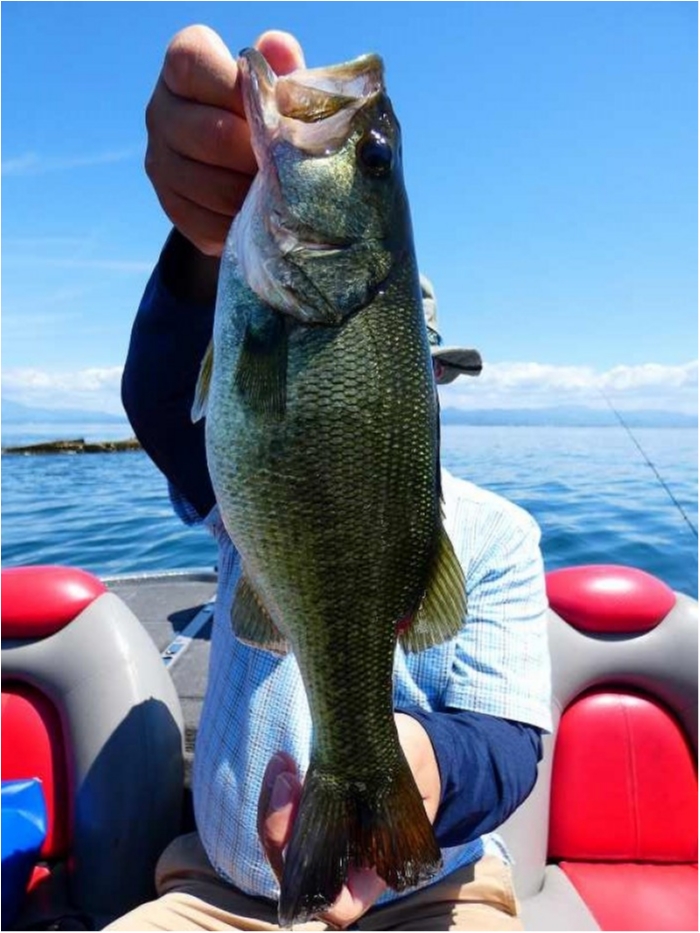 truth ブログ写真 2018/08/18