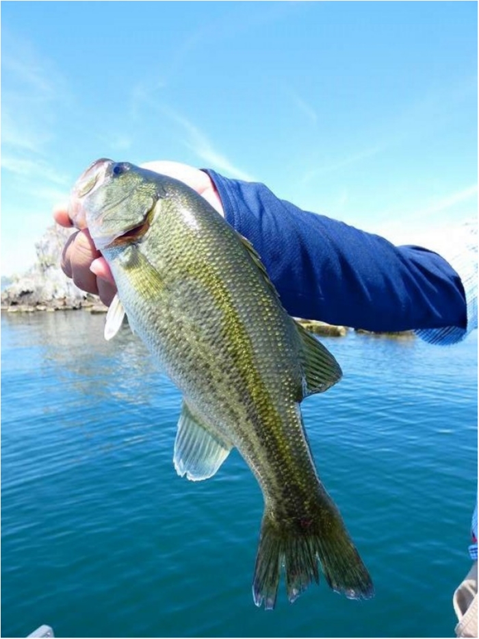 truth ブログ写真 2018/08/18