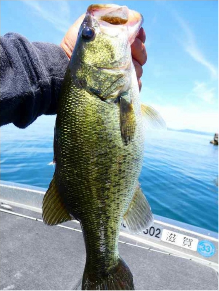 truth ブログ写真 2018/08/18