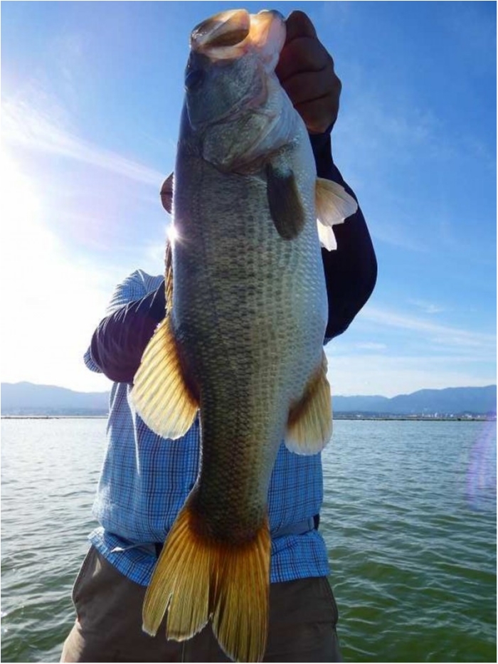 truth ブログ写真 2018/08/18