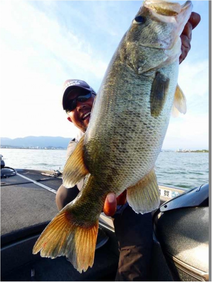 truth ブログ写真 2018/08/18