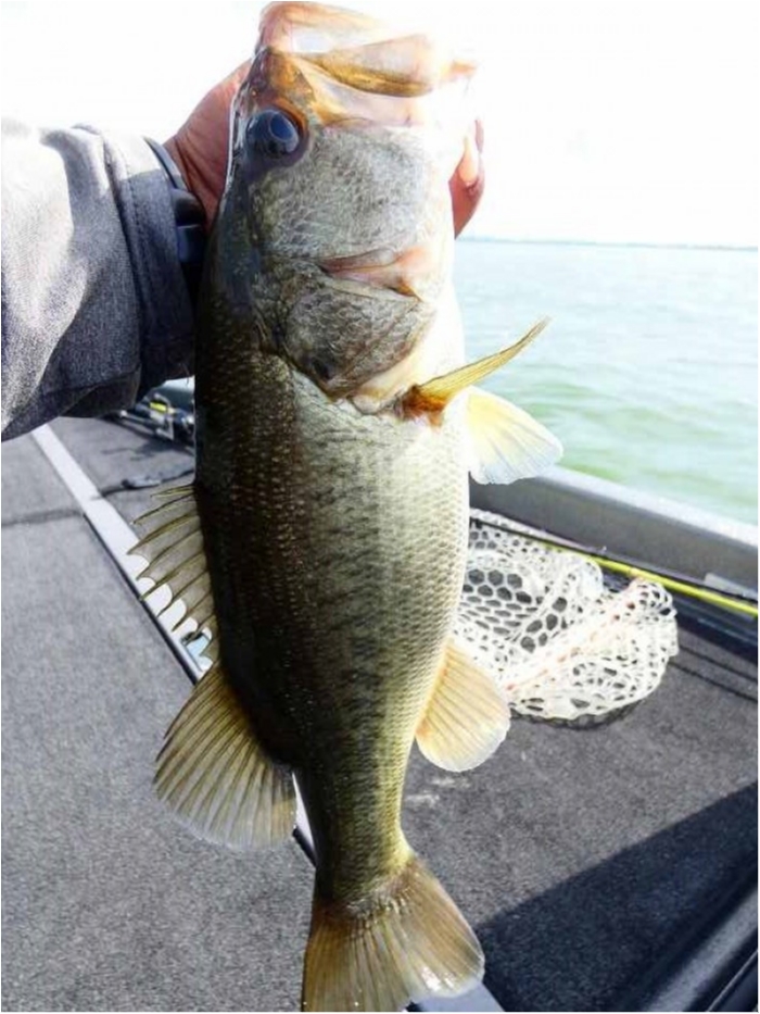 truth ブログ写真 2018/08/19