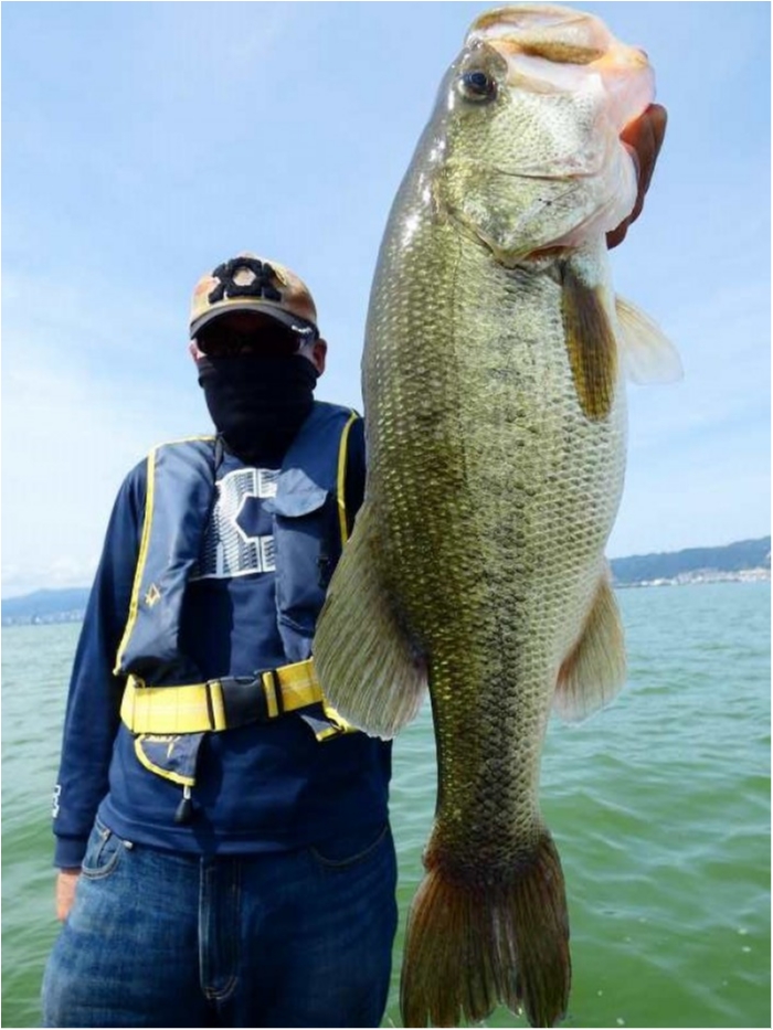 truth ブログ写真 2018/08/19