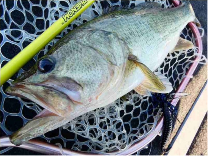 truth ブログ写真 2018/08/19