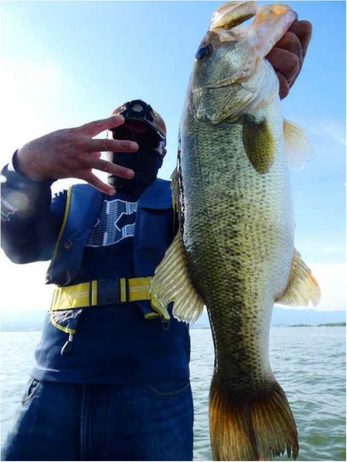 truth ブログ写真 2018/08/19