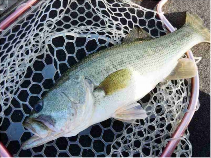 truth ブログ写真 2018/08/20