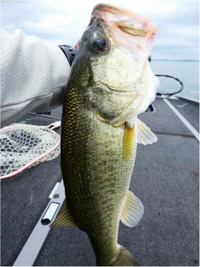 truth ブログ写真 2018/08/20