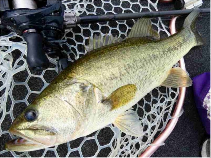 truth ブログ写真 2018/08/20