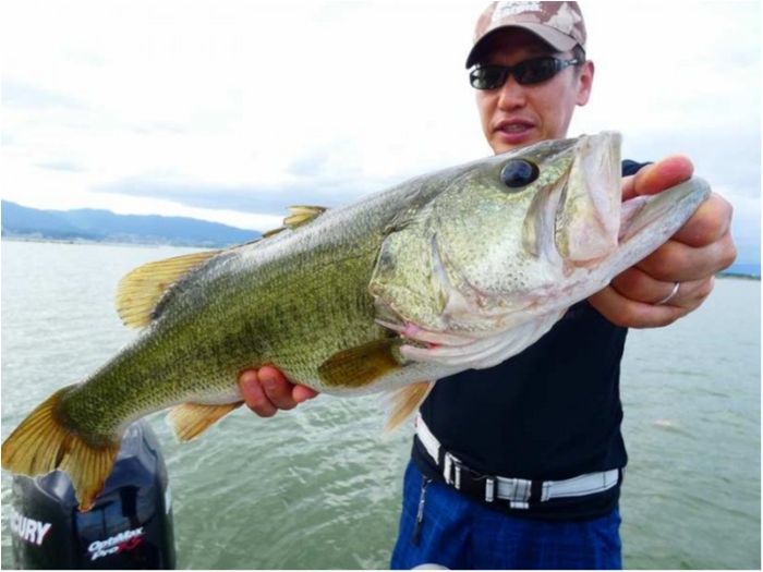 truth ブログ写真 2018/08/20