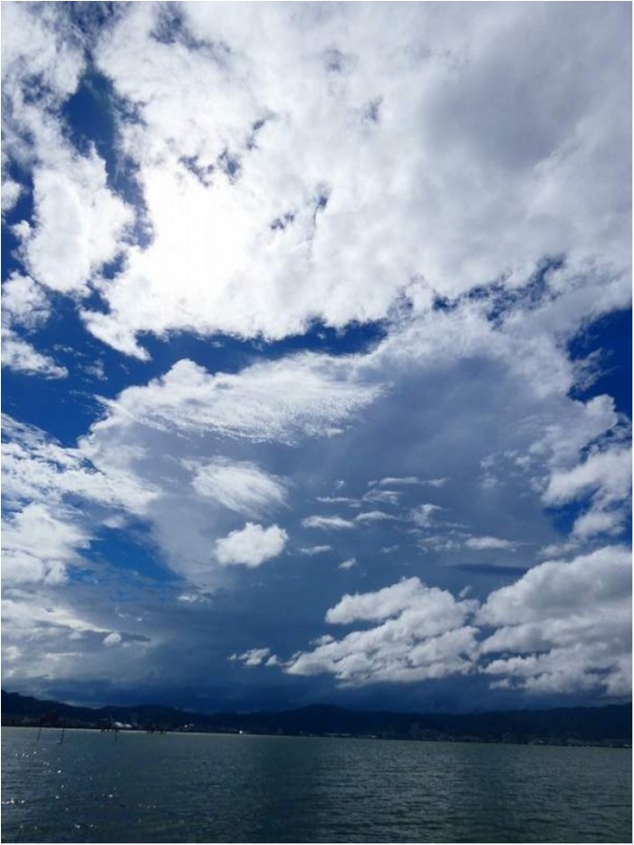 truth ブログ写真 2018/08/21