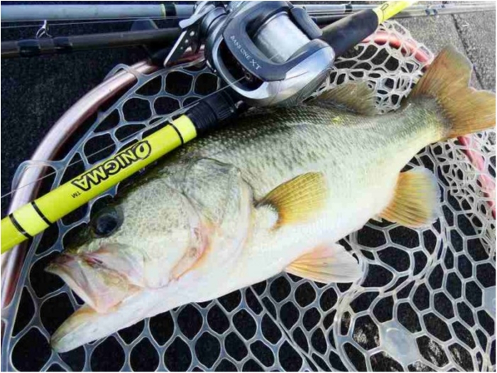 truth ブログ写真 2018/08/21