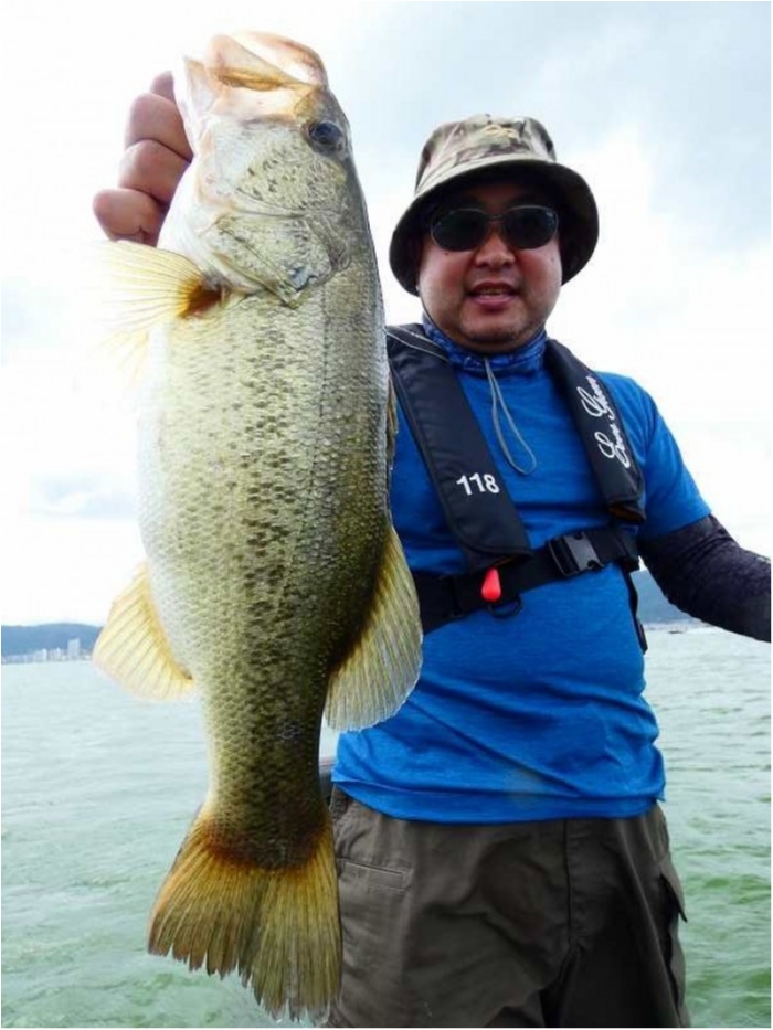 truth ブログ写真 2018/08/21