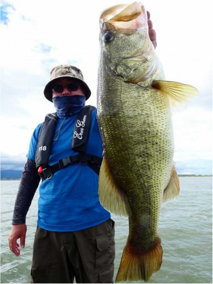 truth ブログ写真 2018/08/21