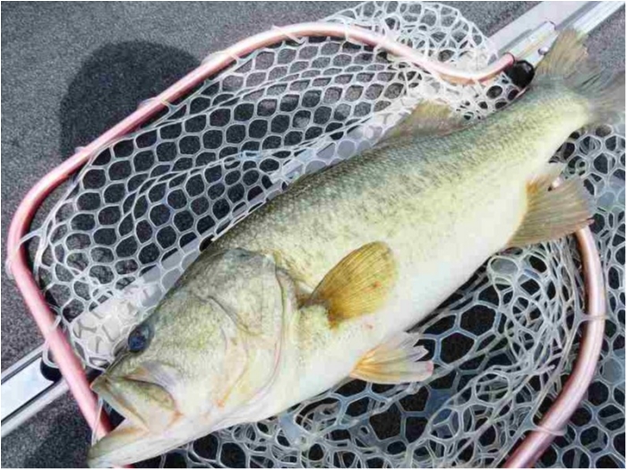 truth  ブログ写真 2018/08/22