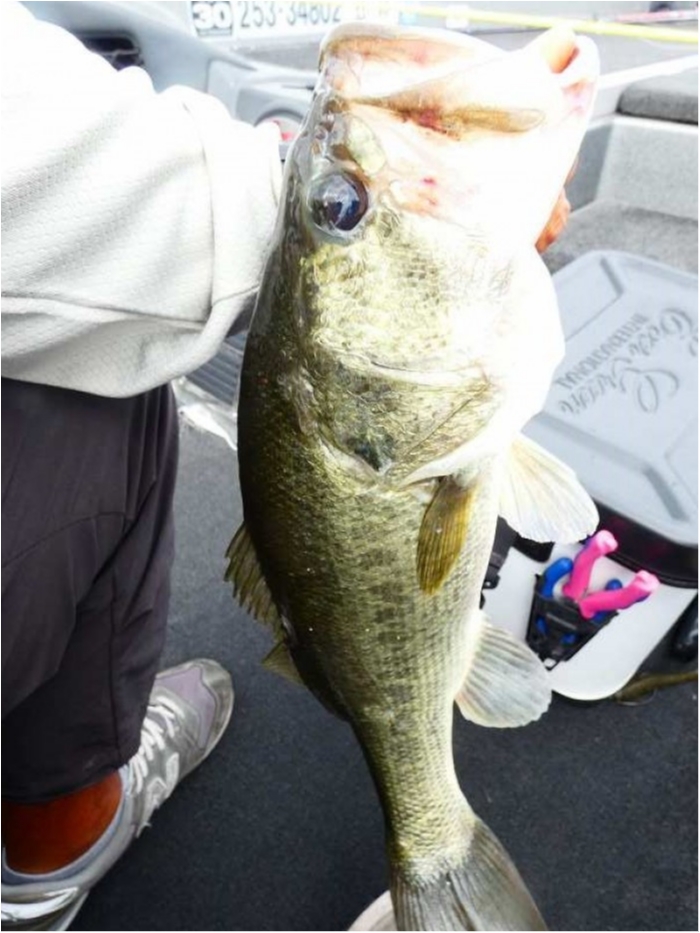 truth  ブログ写真 2018/08/25