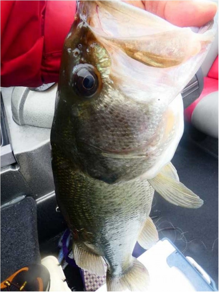 truth  ブログ写真 2018/09/01