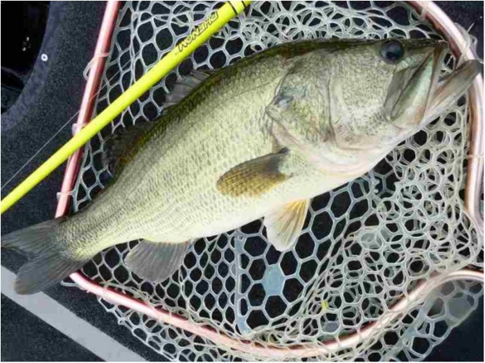 truth  ブログ写真 2018/09/01