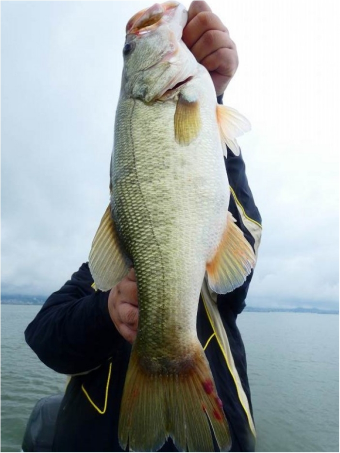 truth  ブログ写真 2018/09/01