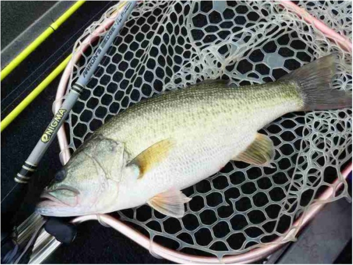 truth  ブログ写真 2018/09/01