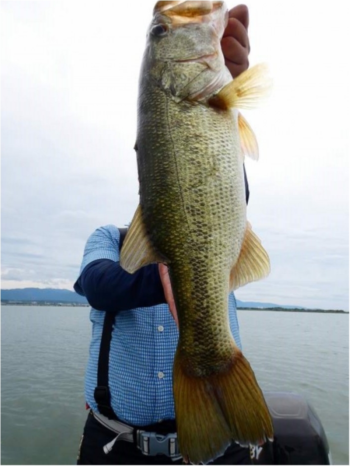 truth  ブログ写真 2018/09/01