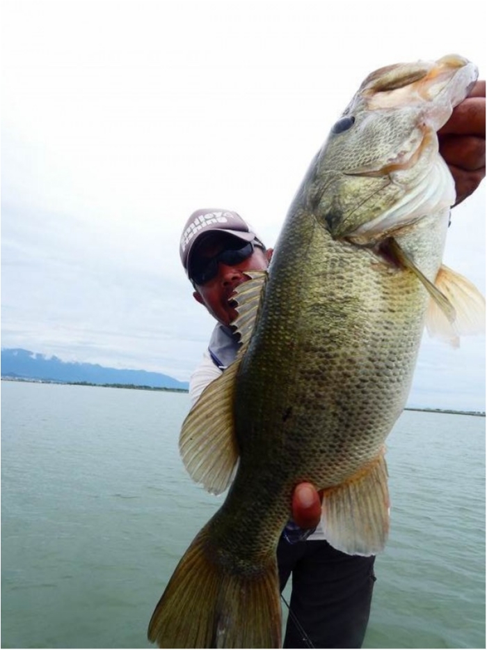 truth  ブログ写真 2018/09/01