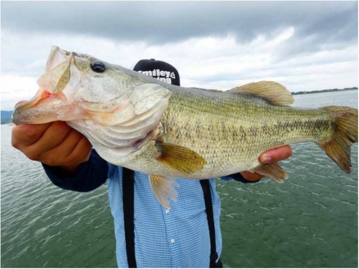 truth  ブログ写真 2018/09/01