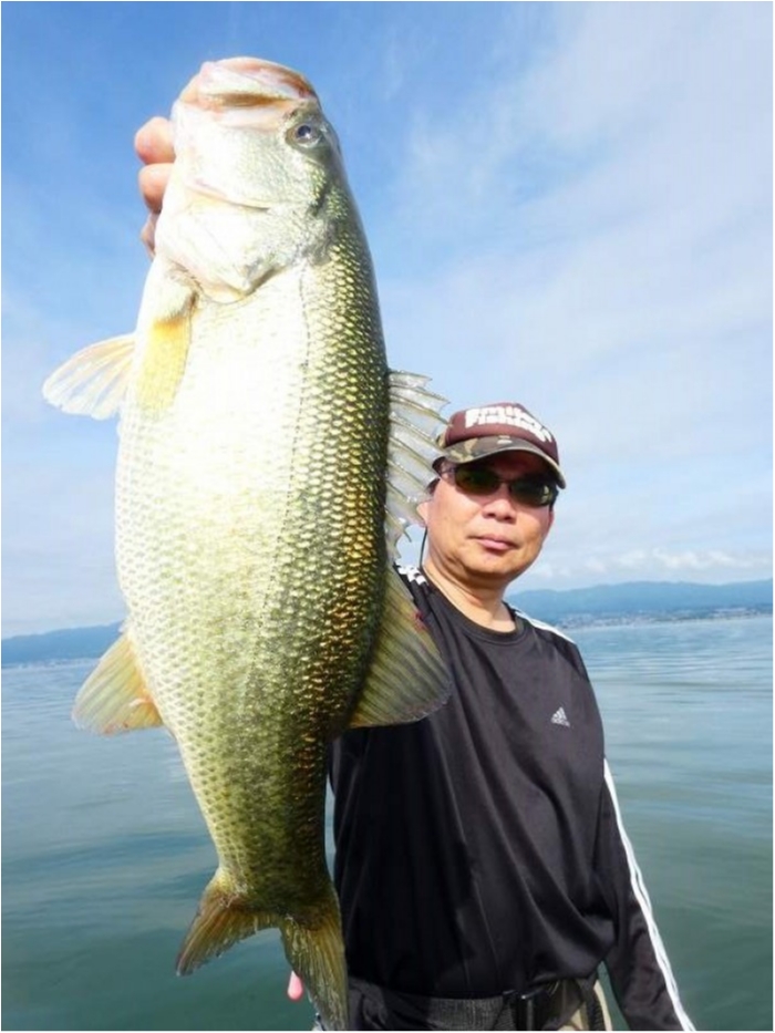 truth  ブログ写真 2018/09/02