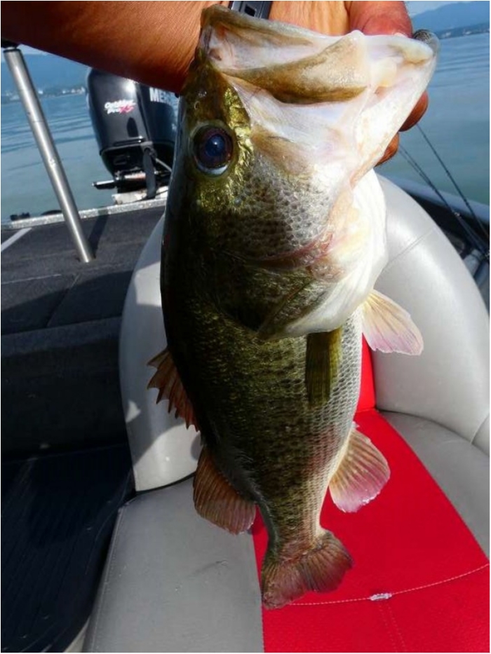 truth  ブログ写真 2018/09/02