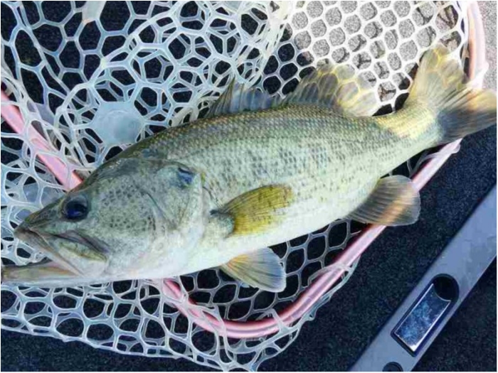 truth  ブログ写真 2018/09/02