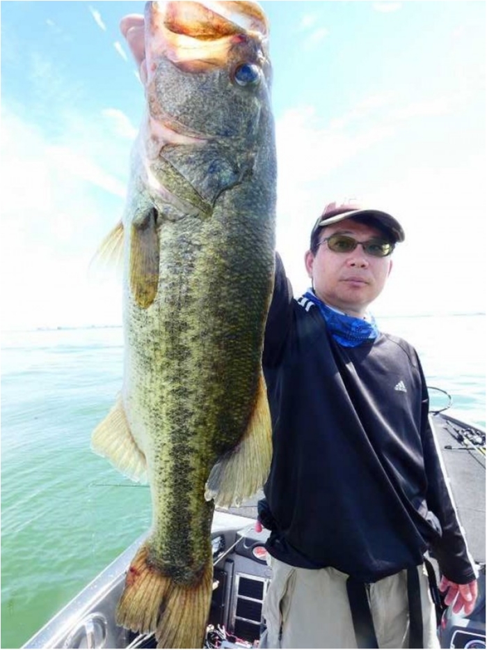 truth  ブログ写真 2018/09/02