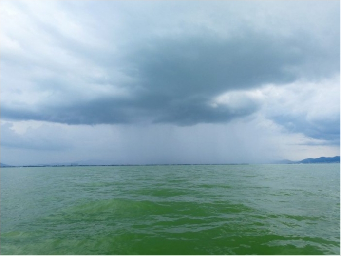 truth  ブログ写真 2018/09/02