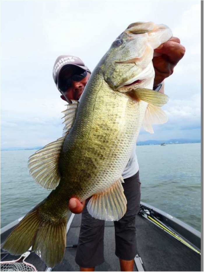 truth  ブログ写真 2018/09/02