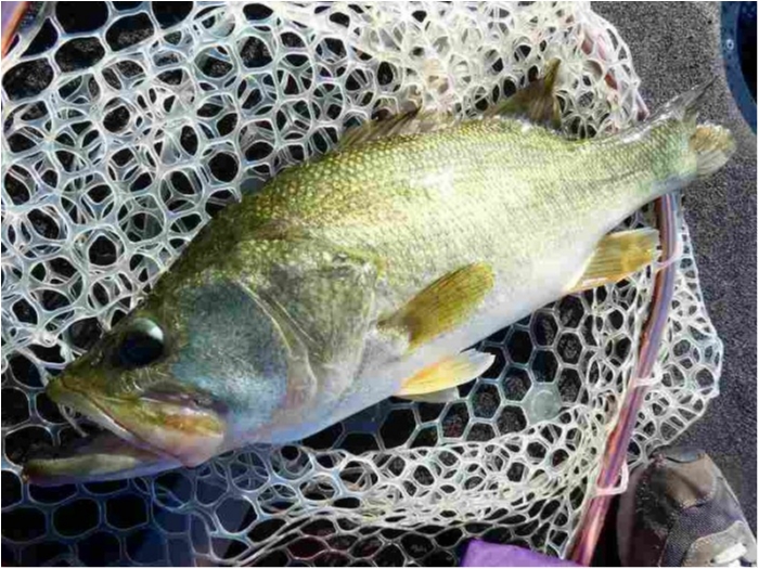 truth  ブログ写真 2018/09/03