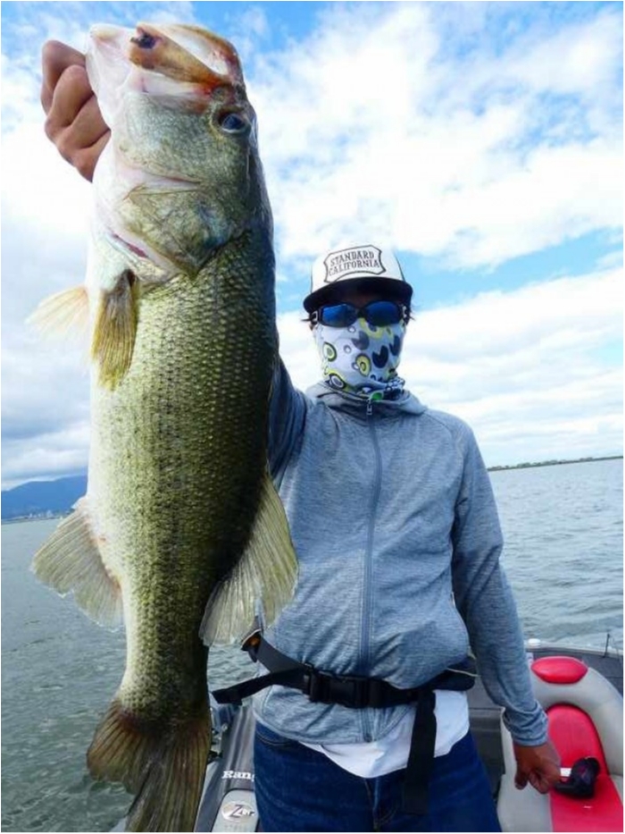 truth  ブログ写真 2018/09/03