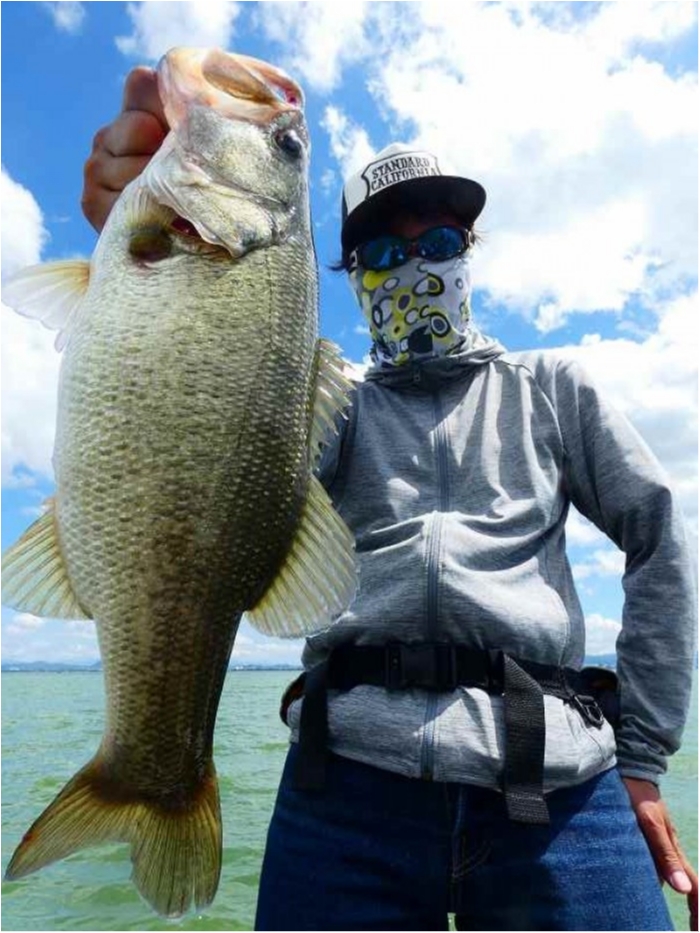 truth  ブログ写真 2018/09/03