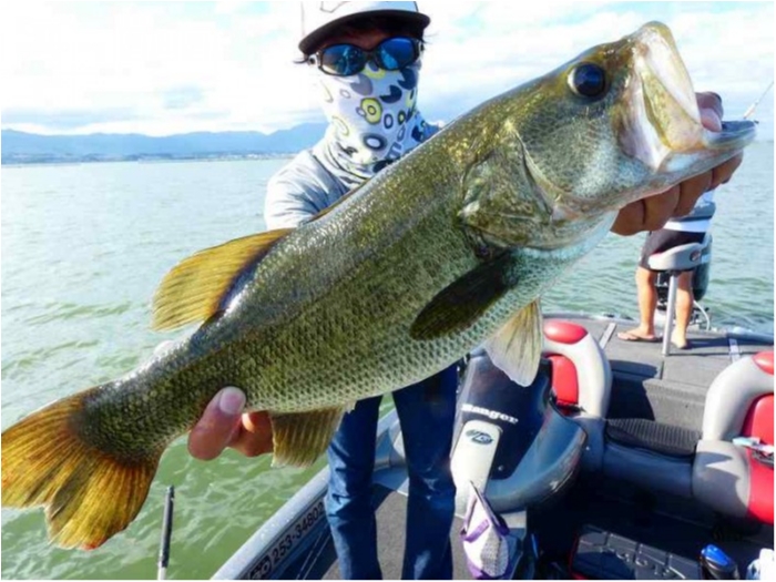 truth  ブログ写真 2018/09/03