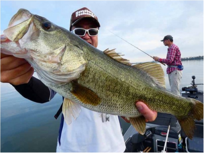 truth  ブログ写真 2018/09/06