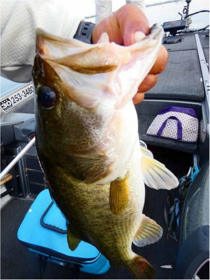 truth  ブログ写真 2018/09/06