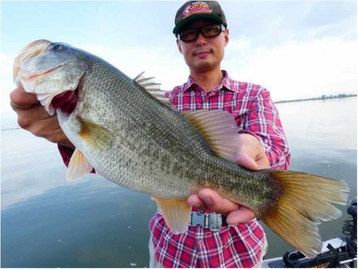 truth  ブログ写真 2018/09/06