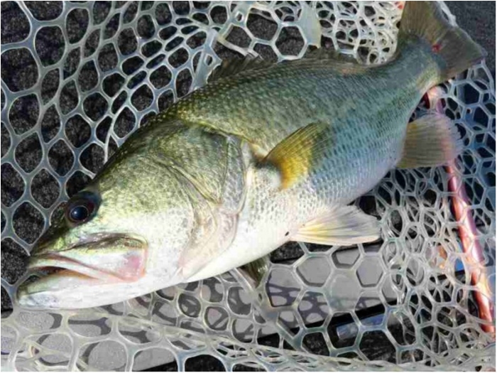 truth  ブログ写真 2018/09/06