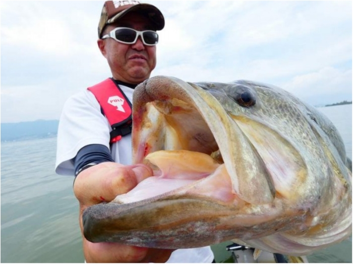 truth  ブログ写真 2018/09/06