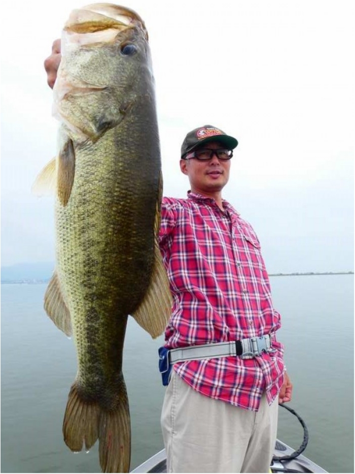 truth  ブログ写真 2018/09/06