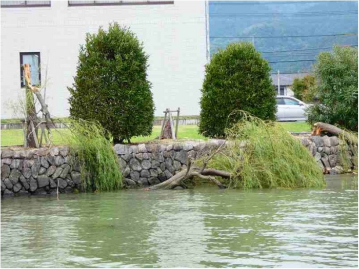 truth  ブログ写真 2018/09/06