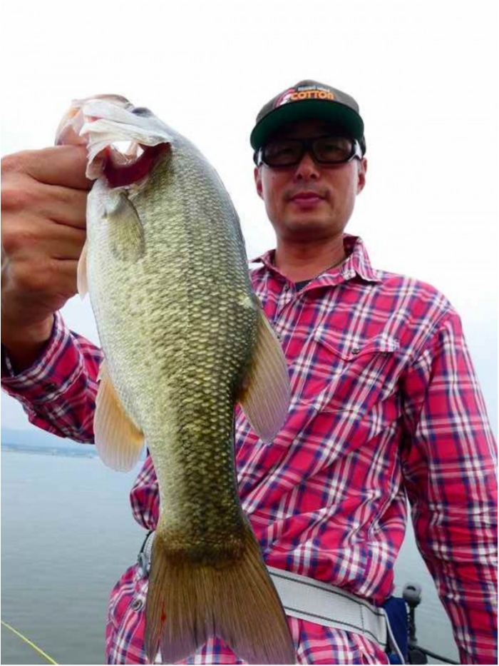 truth  ブログ写真 2018/09/06