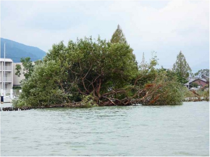 truth  ブログ写真 2018/09/06