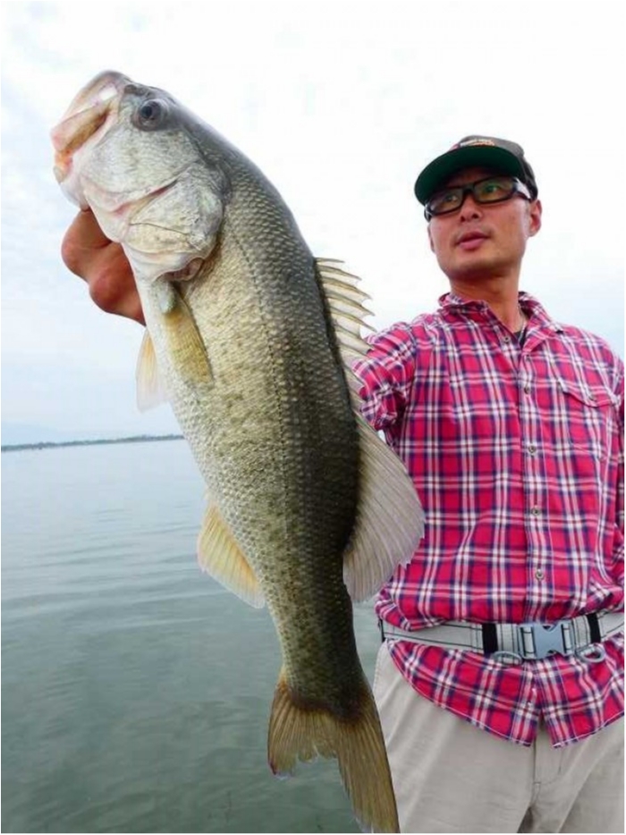 truth  ブログ写真 2018/09/06